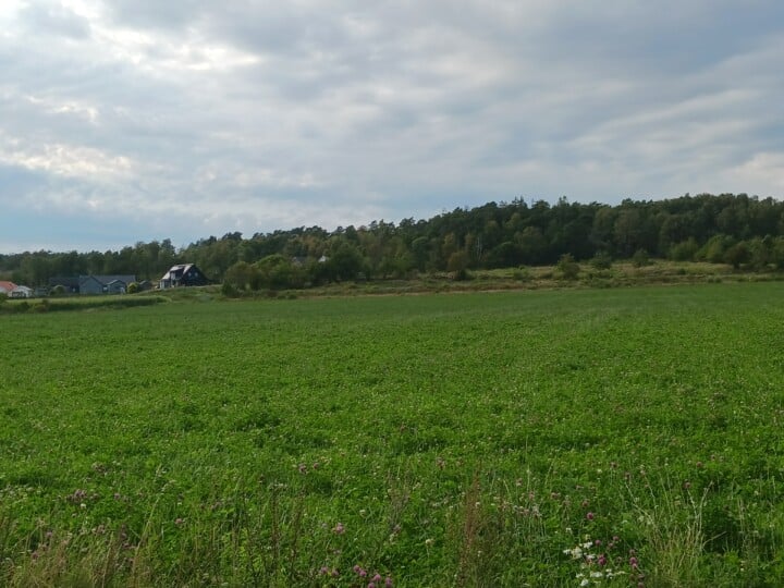 Skrea Lyckan